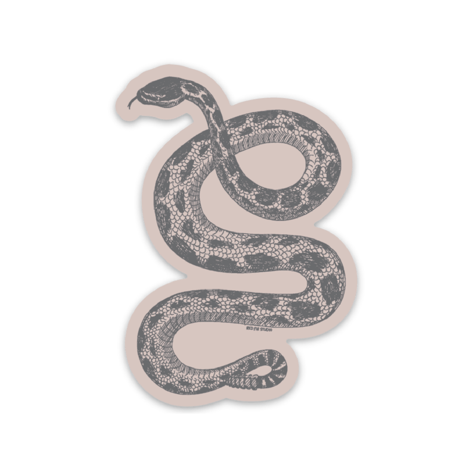 Rattlesnake • Vintage Style Sticker