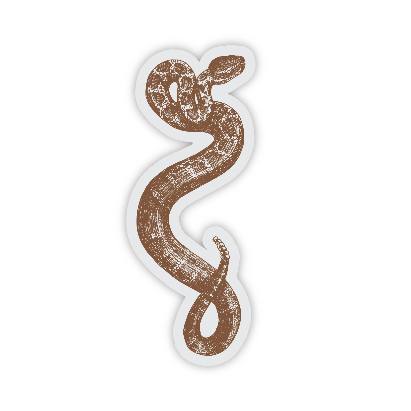 Rattlesnake [Clear] • Vintage Style Sticker